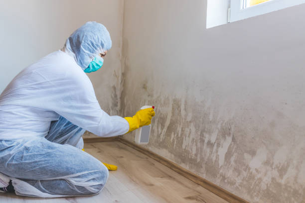 Commercial Mold Remediation assessment for commercial property in Buckley